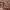 https://res.cloudinary.com/billionhands/image/upload/v1773325674/items/dj2n8lovnenrfbmffsmi.webp-0cover