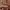 https://res.cloudinary.com/billionhands/image/upload/v1773325678/items/k0tknimgkmkbycpo2iue.jpg-3cover