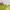https://res.cloudinary.com/billionhands/image/upload/v1773670611/items/npyn96nwll7xbii1egnd.png-0cover