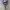 https://res.cloudinary.com/billionhands/image/upload/v1773825964/items/weseanpzkfoldvqbjkgd.jpg-3cover