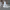 https://res.cloudinary.com/billionhands/image/upload/v1773909695/items/jlhw2k49m4ppknuepxow.webp-2cover