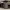https://res.cloudinary.com/billionhands/image/upload/v1773916792/items/dkdntxbzbykeas7m69yc.jpg-0cover