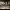 https://res.cloudinary.com/billionhands/image/upload/v1773916795/items/uxhaaovnkzwd0vakcpsl.jpg-1cover