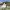 https://res.cloudinary.com/billionhands/image/upload/v1773916797/items/d5vb2uqonmjgzwq9tb6v.jpg-3cover