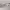 https://res.cloudinary.com/billionhands/image/upload/v1773921480/items/klyt5on0vtyrnurxzbpm.jpg-3cover