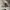 https://res.cloudinary.com/billionhands/image/upload/v1773922594/items/pir3cgx0k42a5sjyjkye.jpg-3cover