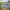 https://res.cloudinary.com/billionhands/image/upload/v1774226390/items/tbyy3iifskhlmk1u0u6k.jpg-2cover