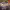 https://res.cloudinary.com/billionhands/image/upload/v1774266370/items/bisf7tzflbp6kbxqvlce.jpg-0cover