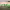 https://res.cloudinary.com/billionhands/image/upload/v1774266617/items/ezdpg0upqy900gjycv0n.jpg-1cover