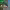 https://res.cloudinary.com/billionhands/image/upload/v1774266626/items/tehkzr82m0sf1bbiiyya.jpg-0cover