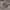 https://res.cloudinary.com/billionhands/image/upload/v1774266645/items/lbuxjpsfb3xbw7yseb5a.jpg-2cover