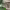 https://res.cloudinary.com/billionhands/image/upload/v1774266646/items/gsf6tgchl4gdxmnrvfur.webp-3cover