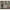 https://res.cloudinary.com/billionhands/image/upload/v1774266646/items/jsjutsjifijlb7qwm5zb.jpg-3cover
