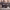https://res.cloudinary.com/billionhands/image/upload/v1774266763/items/ntvwixrfz9hkxssvixrp.gif-2cover