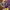 https://res.cloudinary.com/billionhands/image/upload/v1774287125/items/ay5thapbukx6hdkpgs2f.webp-3cover