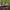 https://res.cloudinary.com/billionhands/image/upload/v1774287166/items/aomeeuhlnntpvqe8hzge.avif-1cover