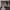 https://res.cloudinary.com/billionhands/image/upload/v1774287169/items/uhnznjkpjykdsm3douy0.jpg-2cover