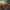 https://res.cloudinary.com/billionhands/image/upload/v1774287226/items/fstfpwf53uwjlx7plx6y.jpg-0cover