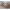 https://res.cloudinary.com/billionhands/image/upload/v1774340089/items/geoqzu145e0syrt5w7n9.jpg-3cover