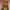 https://res.cloudinary.com/billionhands/image/upload/v1774344215/items/tfuzfwqo50fjjubl3sfs.jpg-2cover