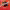 https://res.cloudinary.com/billionhands/image/upload/v1774344217/items/tm6lfq4lreqrot7bb6qa.png-2cover