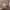https://res.cloudinary.com/billionhands/image/upload/v1774347478/items/x3xea1ymxtefcvxs1jlr.webp-3cover