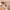 https://res.cloudinary.com/billionhands/image/upload/v1774347591/items/ftedzskv16ysiymu0o5n.jpg-2cover