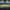 https://res.cloudinary.com/billionhands/image/upload/v1774349200/items/pbvgsyv7l5qszwbodwwt.jpg-2cover