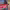 https://res.cloudinary.com/billionhands/image/upload/v1774349244/items/o6yw3cvbguxpsfwu3iu0.jpg-3cover