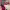 https://res.cloudinary.com/billionhands/image/upload/v1774349261/items/xdqujz82nk5jtedfx0ph.webp-2cover
