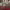 https://res.cloudinary.com/billionhands/image/upload/v1774349329/items/m94pbwxxtyiwaawelvyz.jpg-1cover
