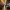 https://res.cloudinary.com/billionhands/image/upload/v1774366660/items/gpefxchipyzdyzt9fmp6.jpg-2cover