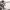 https://res.cloudinary.com/billionhands/image/upload/v1774367810/items/hmtzr6e8smhn88s5zunr.jpg-0cover
