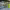 https://res.cloudinary.com/billionhands/image/upload/v1774379175/items/ldalqib5or3vjmuy0s14.jpg-2cover