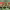 https://res.cloudinary.com/billionhands/image/upload/v1774429634/items/hrqdw2vcwlvgp5o5guru.jpg-0cover