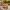 https://res.cloudinary.com/billionhands/image/upload/v1774432697/items/lmslaaasu18rwgsty2ck.webp-0cover