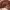 https://res.cloudinary.com/billionhands/image/upload/v1774432709/items/sh337j7hbg0u8hrhsdvr.jpg-3cover