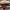 https://res.cloudinary.com/billionhands/image/upload/v1774436801/items/sq3rzddr2pubv7nqjbdw.jpg-1cover