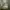 https://res.cloudinary.com/billionhands/image/upload/v1774439606/items/e9wzkqp0hkn0vslqrwj2.jpg-2cover
