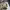 https://res.cloudinary.com/billionhands/image/upload/v1774451617/items/jpnqfanajfjqpw55drz1.jpg-0cover