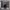 https://res.cloudinary.com/billionhands/image/upload/v1774457505/items/rh8qfhh6ek8byhgj3epr.jpg-0cover