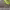 https://res.cloudinary.com/billionhands/image/upload/v1774457531/items/ipyhwftthtnk7r2skodh.jpg-3cover