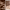 https://res.cloudinary.com/billionhands/image/upload/v1774470119/items/r52js9i6rgwy8mfquknb.png-3cover