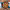 https://res.cloudinary.com/billionhands/image/upload/v1774470603/items/zikfjdoydrylfrzwl4ce.webp-3cover