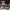https://res.cloudinary.com/billionhands/image/upload/v1774545156/items/unoisxrd942hkvbth0c9.jpg-3cover