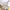 https://res.cloudinary.com/billionhands/image/upload/v1774549215/items/nwg4fj7acrl1et2b4gat.png-1cover