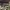 https://res.cloudinary.com/billionhands/image/upload/v1774555369/items/p67i48nsc355fljozhga.jpg-0cover