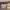 https://res.cloudinary.com/billionhands/image/upload/v1774592591/items/zxfhwupjibvyxlkpscr2.webp-3cover