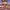 https://res.cloudinary.com/billionhands/image/upload/v1774592593/items/urrbvu9ngxpxckmllrtr.jpg-1cover