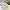 https://res.cloudinary.com/billionhands/image/upload/v1774592602/items/tibdvwe4xkx350c3jmbl.jpg-0cover